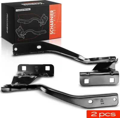 Immagine prodotto di Frankberg 2x Cerniera cofano anteriore per Nissan Qashqai J10 JJ10E