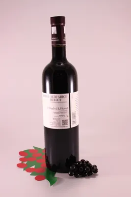 Produktbild von Merlot Antiope' - 2024 - Weingut Morandell