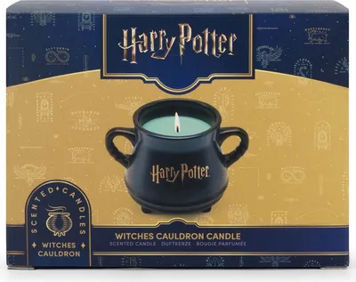 Obrázek produktu pro Harry Potter A2751 Harry Potter Duftkerze Witch´s Cauldron - 230g