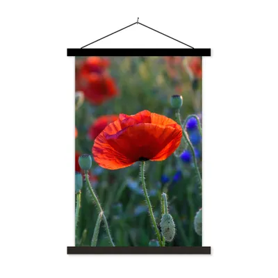 Produktbild von MuchoWow® Textilposter Bunte Mohnblumen in den Niederlanden 120x180 cm mit schwarzem Rahmen - Fotos