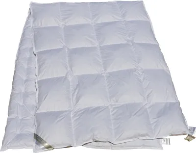Produktbild von 2 Stück Combi Vierjahreszeiten Daunenbetten 100% Daunendecken Bettdecken 155x220