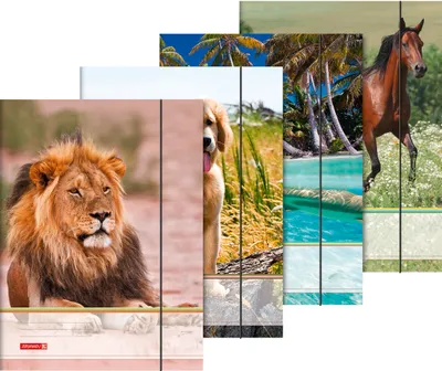 Produktbild von Sammelmappe A3 Tiere Gummizug