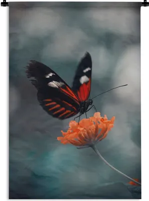 Produktbild von MuchoWow® Wandteppich Wandbehang Schmetterling - Blume - Insekt 90x135 cm Tapisserie Dekoration Wandtuch - Baumwolle - Wandskulptur