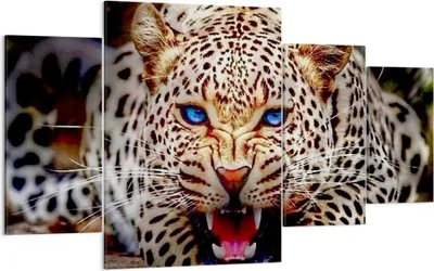 Produktbild von Bild auf Leinwand - Leinwandbild - Panther Tier - 160x90cm - Wand Bild - Wanddeko - Wandbilder - Leinwanddruck - Bilder - Kunstdruck - Wanddekoration - Leinwand bilder - Wandkunst - DL160x90-3506