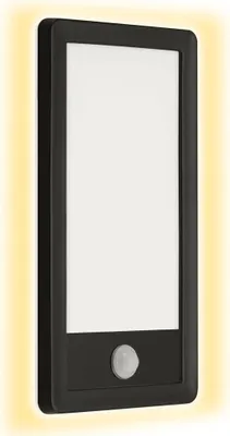 A black and white LED outdoor light with a motion sensor.