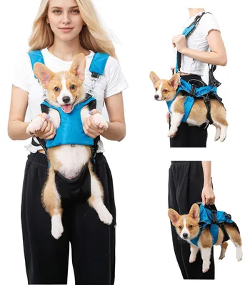 Image de Sac à dos de transport 5-en-1 pour chats et petits chiens
