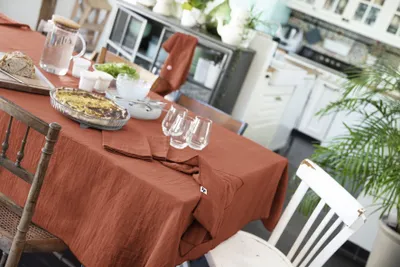 Zdjęcie produktu dla Obrus 150 x 250 cm GAÏA terakota
