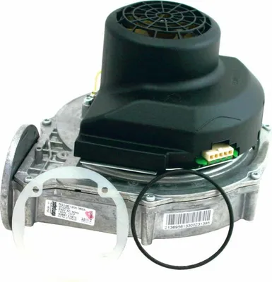 Produktbild von Wolf Gasgebläse für CGB-75/100