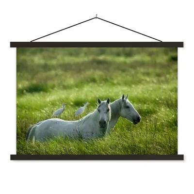 Produktbild von MuchoWow® Textilposter Pferde - Vogel - Gras 60x40 cm mit schwarzem Rahmen - Hölzernes