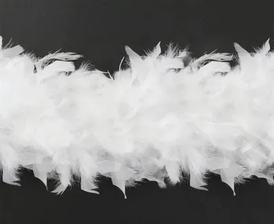 Image de Boa blanc 180 cm 40 g - Godan