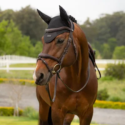 Image de LeMieux Air-Tek, filet de protection pour les oreilles de cheval - Taille S - Protège des mouches