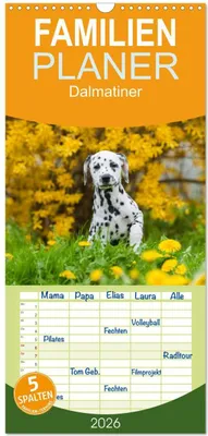 Produktbild von Familienplaner 2026 - Dalmatiner mit 5 Spalten (Wandkalender, 21 x 45 cm) CALVENDO