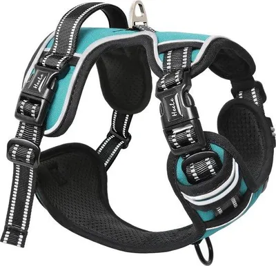 Image de Collier pour chien turquoise anti-traction, grand collier pour chien, collier pour chien réfléchissant et réglable, collier pour chien respirant avec poignée rembourrée, collier pour chien anti-traction, L