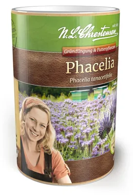 Produktbild von Phacelia (400g) | Gründünger von N.L Chrestensen