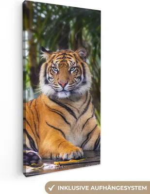 Obrázok produktu pre MuchoWow® - Plátno - Tiger - Zvieratá - Les - Džungľa, nástenná maľba, nástenné dekorácie obrazy obývacia izba, 20x40cm