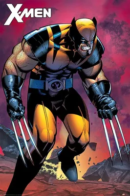 Zdjęcie produktu dla X-Men – Wolverine: Berserker Rage – 61 x 91,5 cm – Plakat