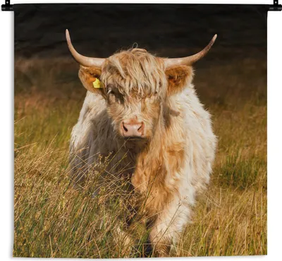 Produktbild von MuchoWow® Wandteppich Wandbehang Schottische Hochlandrind - Licht - Gras - Tiere 120x120 cm Tapisserie Dekoration Wandtuch - Modern - Baumwollgewebe