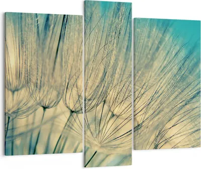 Produktbild von Bild auf Leinwand - Leinwandbild - 3 Teile - Löwenzahn Makro Löwenzahn - 95x80cm - Wand Bild - Wanddeko - Wandbilder - Leinwanddruck - Bilder - Wanddekoration - Leinwand bilder - CB95x80-4846