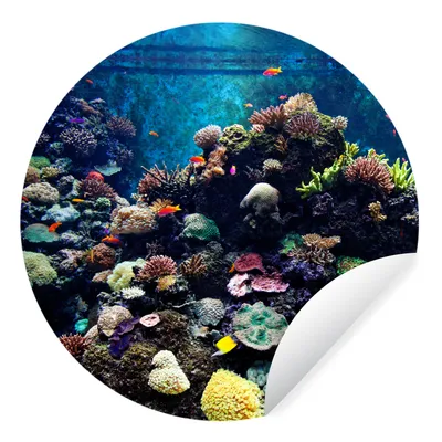 Produktbild von MuchoWow® Runde Wandtattoo - Wandsticker Tapete Aufkleber Aquarium mit tropischen Fischen und Korallen Ø 80 cm Selbstklebend und Repositionierbar - Wandaufkleber - Kreis - Mauerkreis - Wand Bilder - Wandsticker - Wohnzimmer Dekoration - Dekoration für die Wände - Aluminium - Babyzimmer