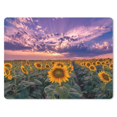 Produktbild von MuchoWow® Mauspad Mousepad Blumen - Himmel - Lila - Sonnenuntergang 23x19 cm - Mousepads - Maus Mat - Pad - Mausunterlage - Schreibtischunterlage - Mauspad