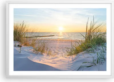 Produktbild von Gerahmtes Poster - Weißer Rahmen - Düne Strand Meer - 70x50 cm - Wand Bild - Wanddeko - Wandbilder - Kunstposter - Wandposter - Bilderrahmen - Bilder - Kunstdruck - Wandbild - P2WAA70x50-3989