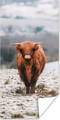 Produktbild von MuchoWow® Poster Schottischer Highlander - Schnee - Berg 20x40 cm - Plakat - Foto