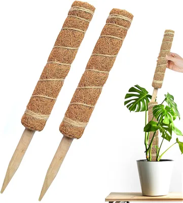 Two plant support stakes made of coir fiber and twine, with wooden pointed ends, are shown against a white background. A third stake is shown in use with a Monstera plant in a pot.