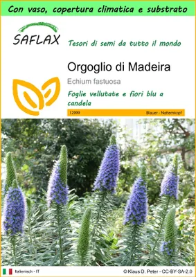 Immagine prodotto di SAFLAX Garden to go - Orgoglio di Madeira - 100 semi - Echium