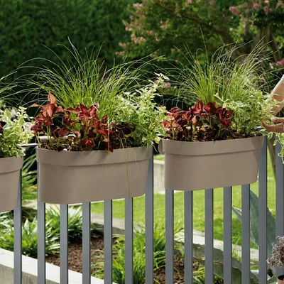 Produktbild von Central Garden Balcony 60 cm Geländer-Balkonkasten  |  Farbe: taupe
