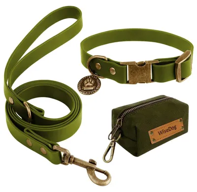 Immagine prodotto di Set di collare e guinzaglio per cani, colore verde oliva, taglia XL (circonferenza del collo da 40 a 65 cm), guinzaglio lungo 1,8 metri, con dispenser per sacchetti igienici