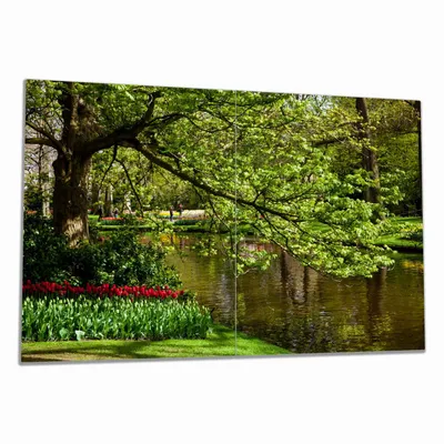 Produktbild von Wallario Herdabdeckplatte aus Glas, Größe 80 x 52 cm 2-teilig, Motiv Bunte Blumen im Park am Wasser - Frühblüher am Ufer