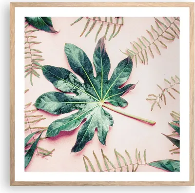 Produktbild von Gerahmtes Poster - Rahmen in heller Eiche - Blatt Tropisch Palme - 60x60 cm - Wand Bild - Wanddeko - Wandbilder - Wandposter - Bilderrahmen - Bilder - Kunstdruck - Wandbild - P2NAC60x60-4314