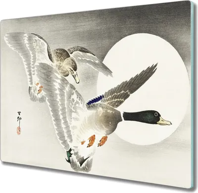 Produktbild von Coloray Herdabdeckplatte 60x52 cm Schneidebrett Kochplattenabdeckung Küchenbrett Hackbrett - Tiere Vögel Enten