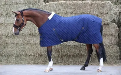 Produktbild von Kentucky Horsewear Stalldecke 400g Stable Rug Pferdedecke Marine 140
