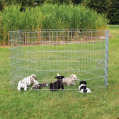 Produktbild von TRIXIE Freilauf für kleine Hunde - diverse - ø 154 × 91 cm