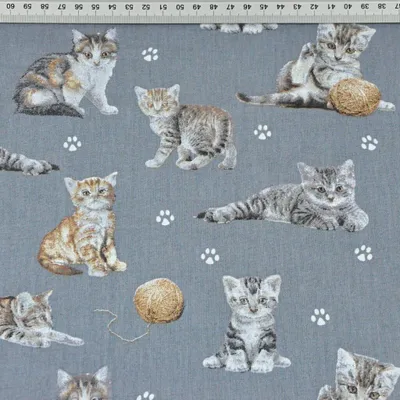 Produktbild von Baumwolle 100% beige-weiße Katzen auf dunkelgrauem Hintergrund