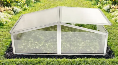 A cold frame greenhouse in a garden setting.