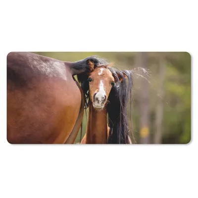 Produktbild von MuchoWow® Schreibtischunterlage Pferde - Natur - Braun 80x40 cm - XXL Mauspad - Gaming Mauspad