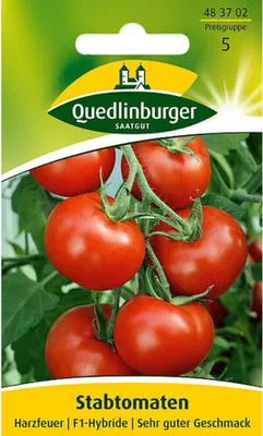 Zdjęcie produktu dla Quedlinburger Saatgut - Pomidory tyczkowe Harzfeuer - Nasiona - 483702