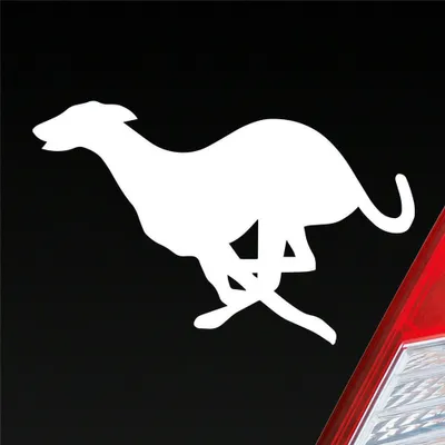 Produktbild von Auto Aufkleber Windhund Hund Dog Animal Tier 12x7,5 cm Weiss Glanz Sticker Heckscheibenaufkleber
