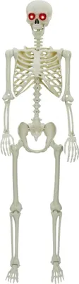 Obrázok produktu pre Halloweenský Kostiak Biela 155 x 38.5 cm Plast