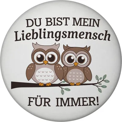 Produktbild von Zwei niedliche Eulen Lieblingsmensch Magnet