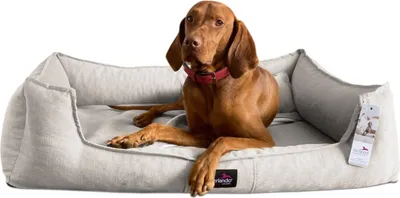 Produktbild von tierlando® Orthopädisches Hundebett SCARLETT >> inkl. Matratzenschoner << - Größe: 90x75cm | Farbe: 05 Creme