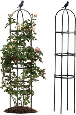 Image de Treillis pour plantes grimpantes d'extérieur - Kit pour légumes et fleurs - Avec support pour clématites