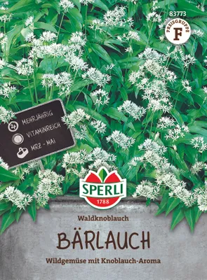 Produktbild von SPERLI Bärlauchsamen Waldknoblauch Allium ursinum 35 Pflanzen