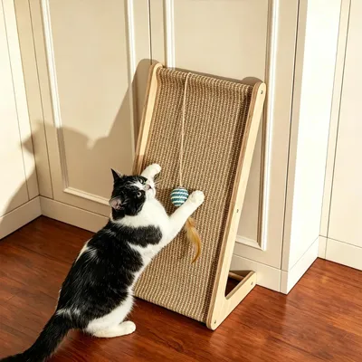 Image de Solidchoice - Griffoir double face pour chats