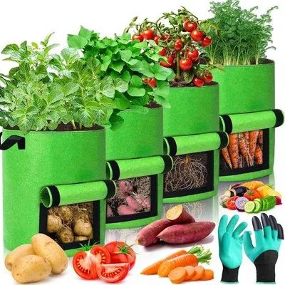 Immagine prodotto di Kit di semina - Sacco in tessuto non tessuto per la coltivazione - Per la coltivazione di ortaggi - Con possibilità di osservare la crescita - Contenuto: 40 litri - Verde