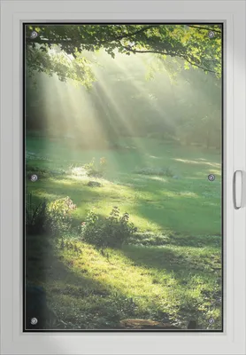 Produktbild von Wallario Lichtschutzbild, Dekorativer Sichtschutz Sonnenschutz 60 x 93 cm mit Motiv: Sonnenstrahlen im Wald - Verdunklung ohne Bohren