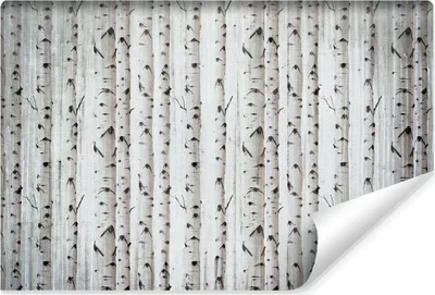 Produktbild von Muralo Vlies Fototapete für Esszimmer BÄUME Birken Natur Vintage Stil Br. 460cm x Hö. 300cm