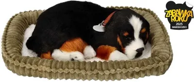 Produktbild von Perfect Petzzz 96644 Berner Sennenhund